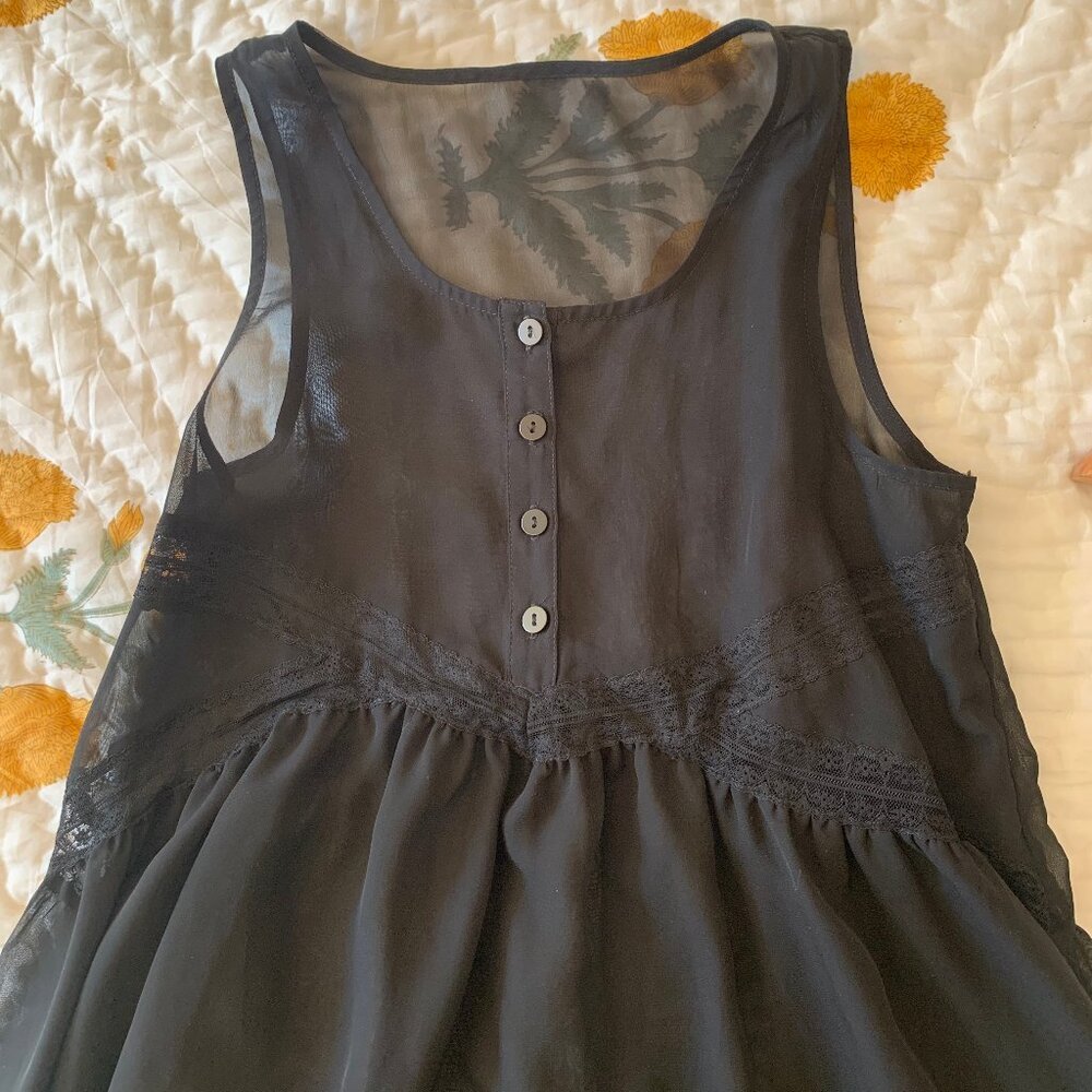 Express Sheer Dress